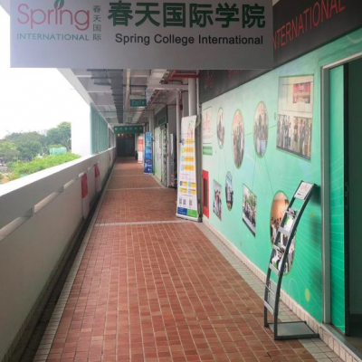 春天国际学院-中小学预备课程